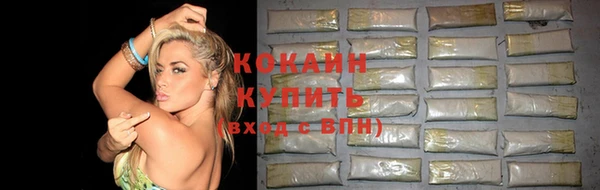 бошки Богданович