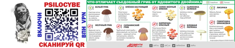 OMG   Володарск  Галлюциногенные грибы Cubensis 